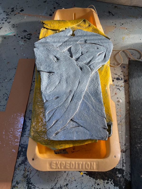 Expedition by Duncan Hewitt