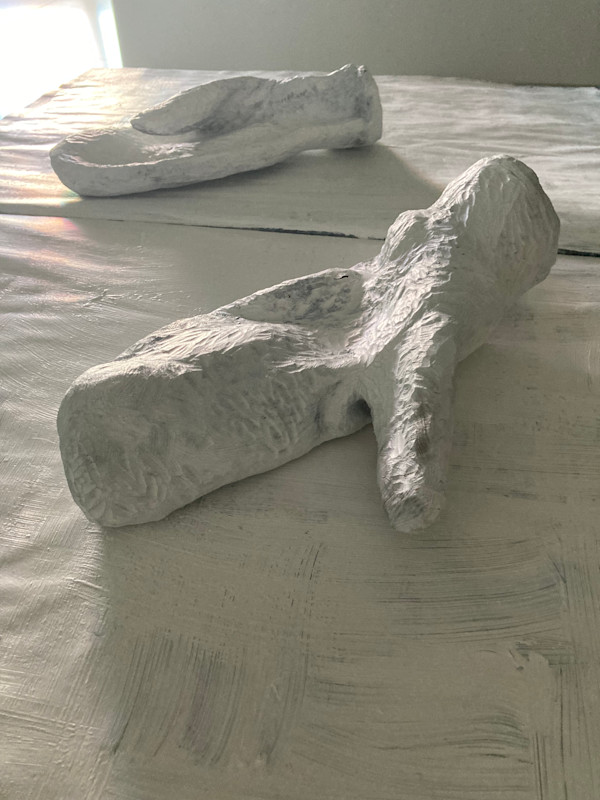 Labrador by Duncan Hewitt