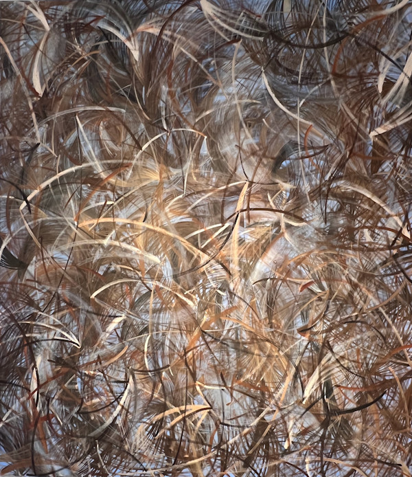 THE INFINITE (AS FAR AS I CAN REACH) by Omar Wiseman