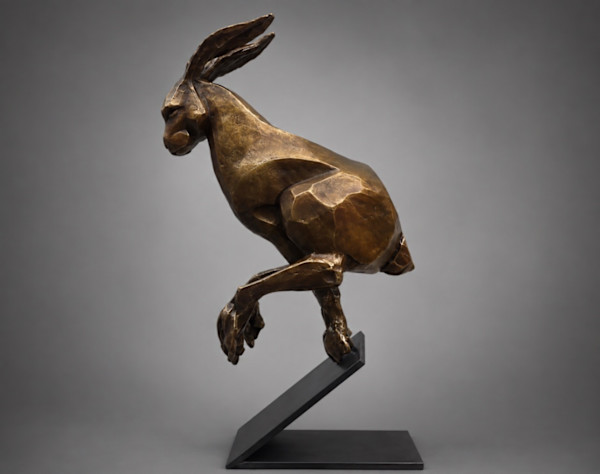 Liebre by Alfredo Cota, Image 1.