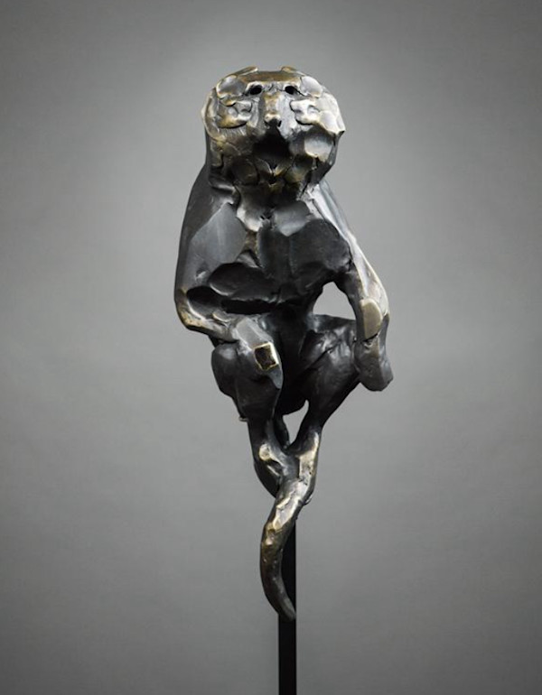Babuino by Alfredo Cota, Image 1.
