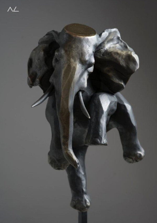 Elefante flotado by Alfredo Cota, Image 1.