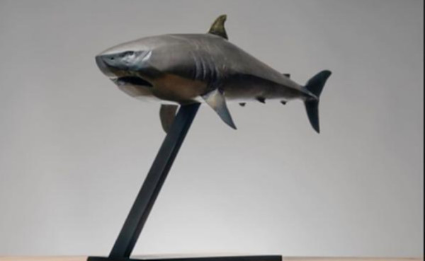 Tiburón by Alfredo Cota, Image 1.