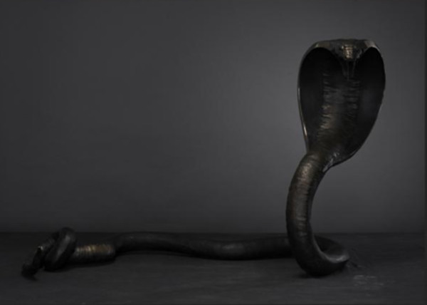 Cobra by Alfredo Cota, Image 1.