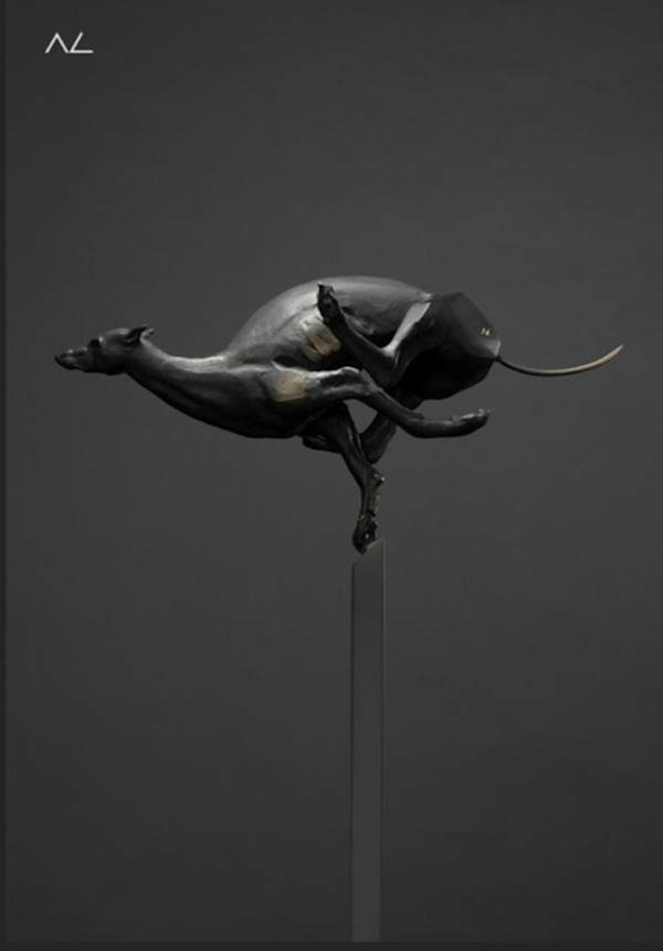 Galgo by Alfredo Cota, Image 1.