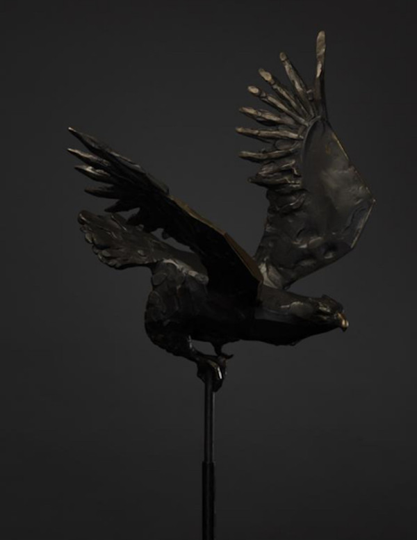 Águila by Alfredo Cota, Image 1.