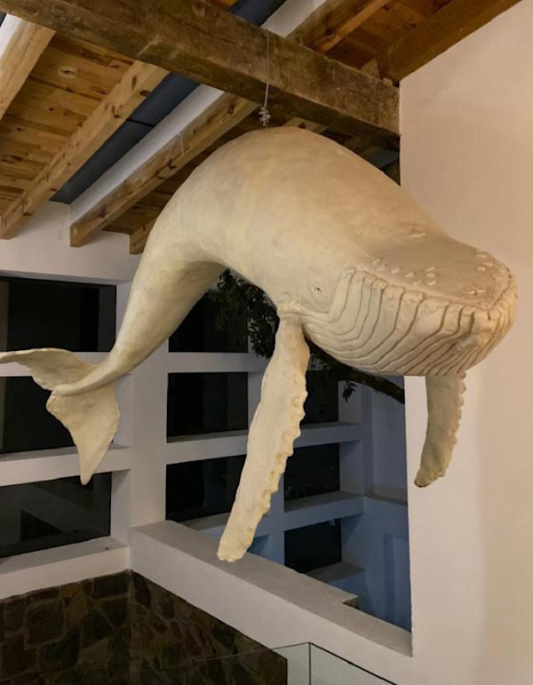 Ballena grande by Alfredo Cota, Image 1.