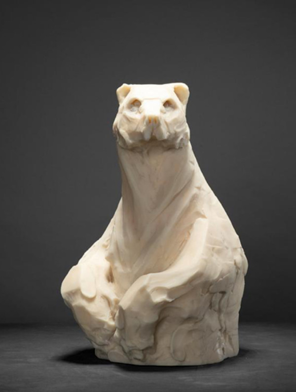 Oso by Alfredo Cota, Image 1.