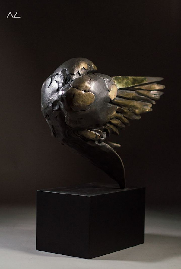 Cuervo Bronce by Alfredo Cota, Image 1.