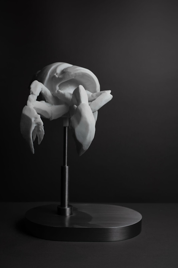 Ermitaño by Alfredo Cota, Image 1.