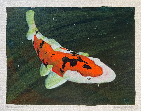 Koi Carp Part 1 by Ryan Barnes