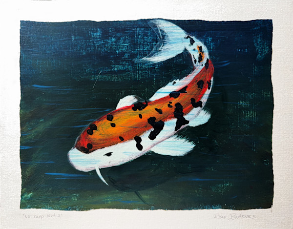 Koi Carp Part 2 by Ryan Barnes