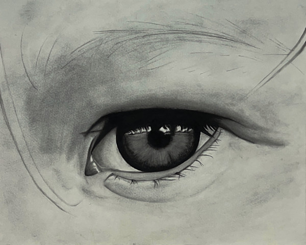 Zelda's Eye by Ryan Barnes