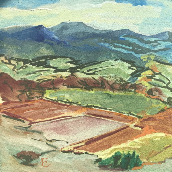 160 -  Eastern Ridge, Southern Oregon Wine Country IV by Katy Cauker