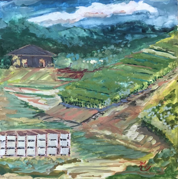 653- Orchards & VineyardsView Carpenter Hill Road -AAA by Katy Cauker