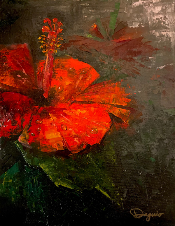 Red Hibiscus by Stephanie Daguio