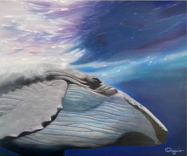 New Life in Grace by Stephanie Daguio