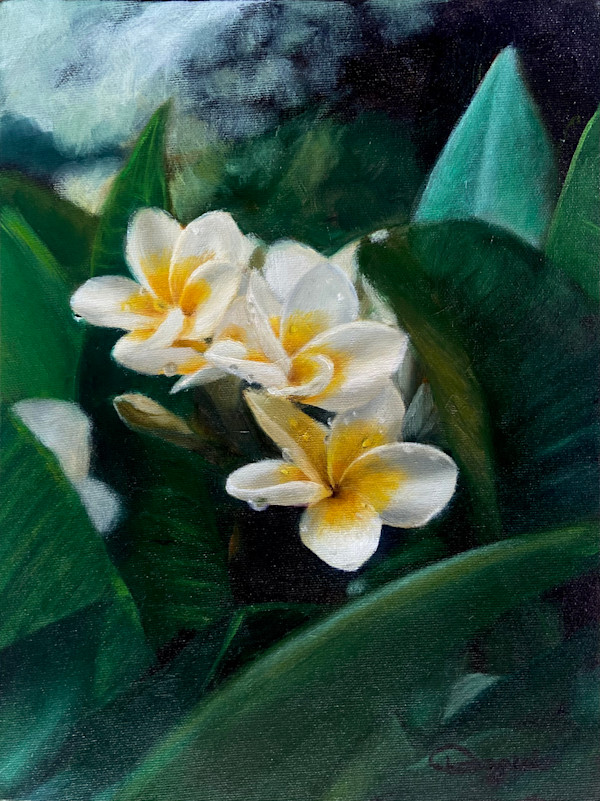 Plumerias by Stephanie Daguio