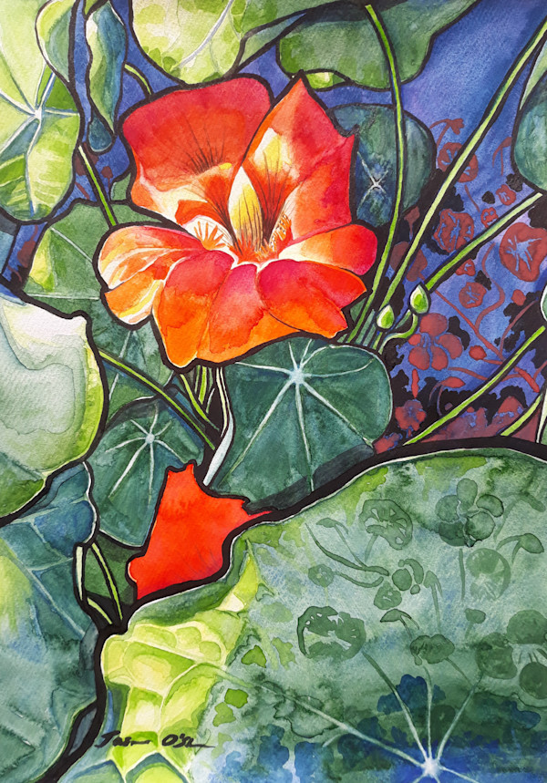 Nasturtium by Jasmine O'Shea
