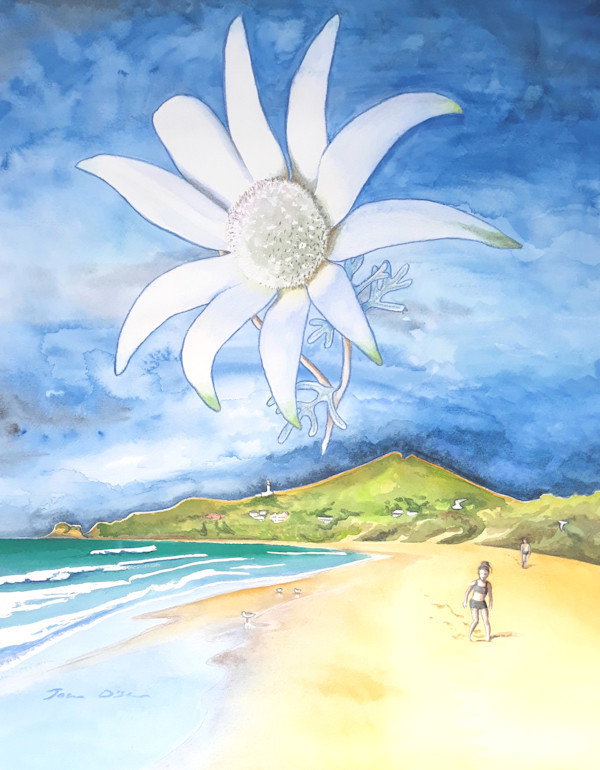Floating Flannel Flower by Jasmine O'Shea