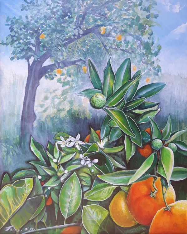 Orange Tree by Jasmine O'Shea