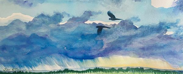 Black Cockatoos by Jasmine O'Shea
