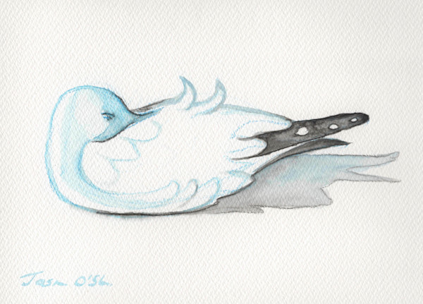 Sleeping Seagull by Jasmine O'Shea