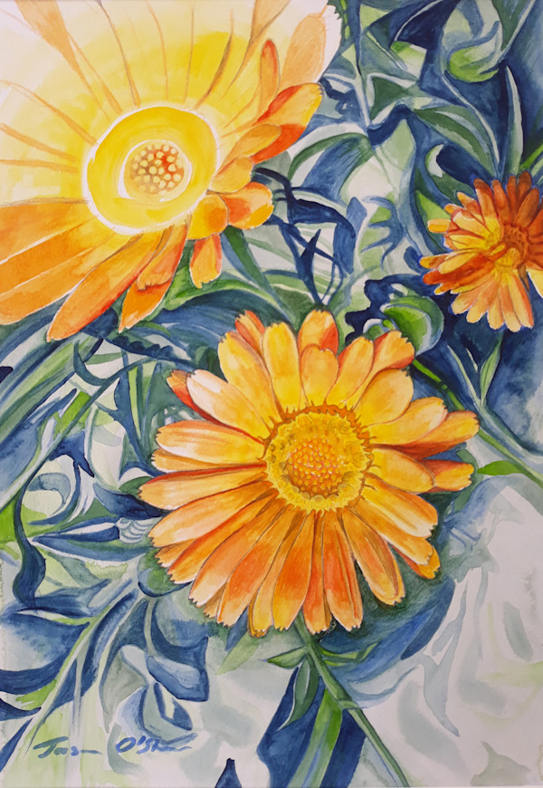 Calendula by Jasmine O'Shea