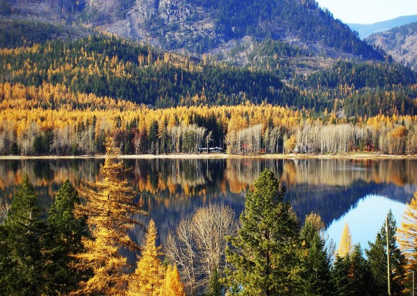 Moyie Lake in Autumn - Notecard edition #7 by Carol Gordon
