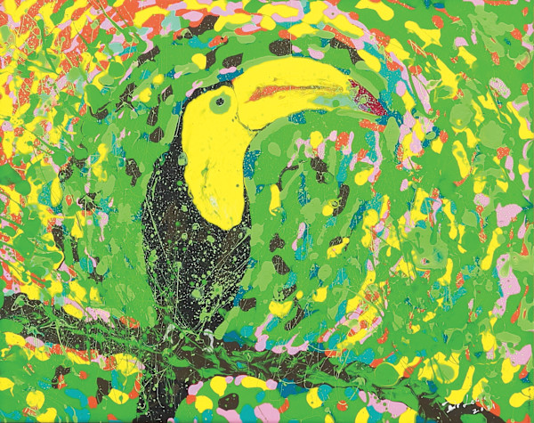 Tranquil Toucan by Dr Lowly (Low Lee Yong)