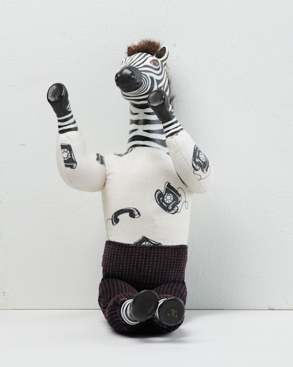 Zebra Man by Tracy Gallup