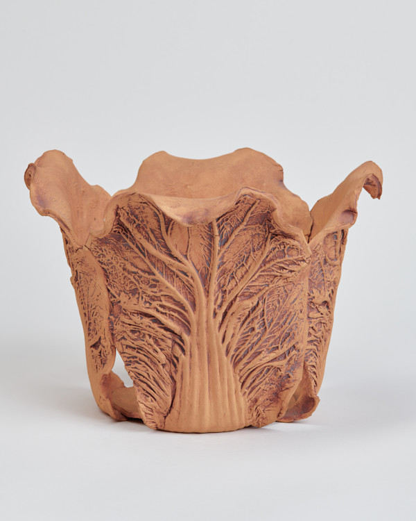 Cabbage Pot by David Heger