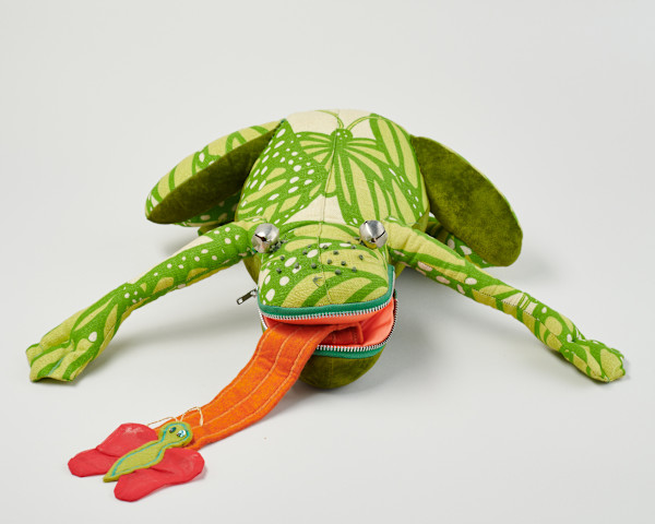 The Frog and the Fly by Lisa Drumm