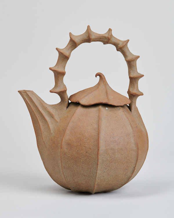Teapot with Lid by Barbara Walch