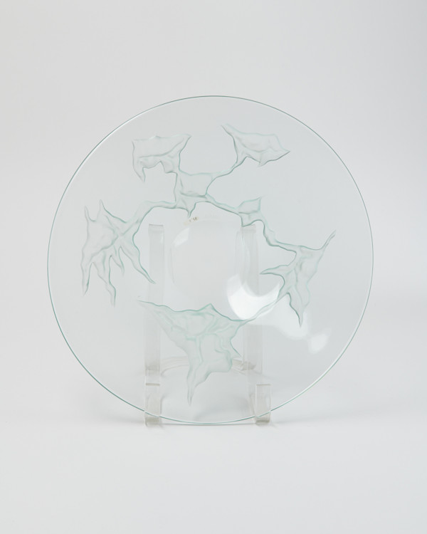 Clear Glass Plate by Robert Deeble