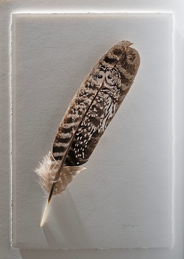 Barred by Joy Tappen, Image 1.