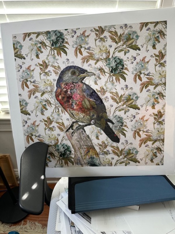 Bluebird - Giclee  framed