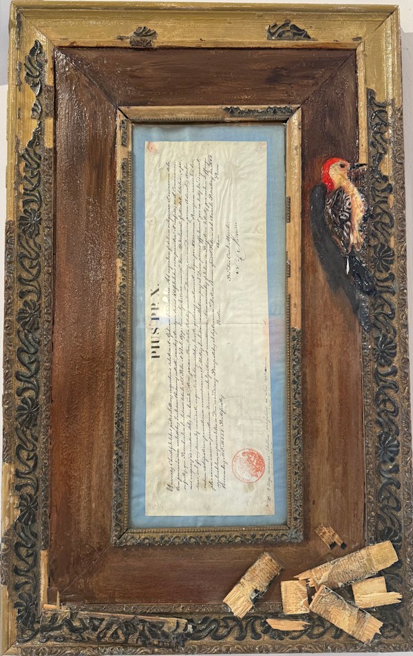 Pius by Golsa Gochini