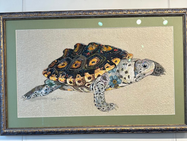 They Call me Mr. T !  Diamond Terrapin by Susan Fay Schauer