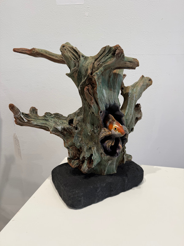 Reef Shelter by Bernie Houston