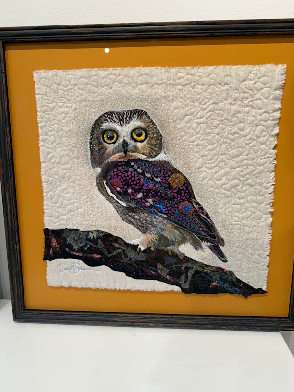 You are Seen.  Northern Saw Whet Owl by Susan Fay Schauer, Image 1.