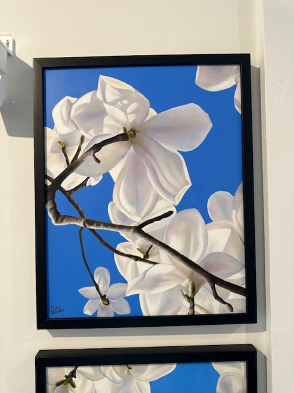 Magnolia Blossoms #13 by Frank DePietro