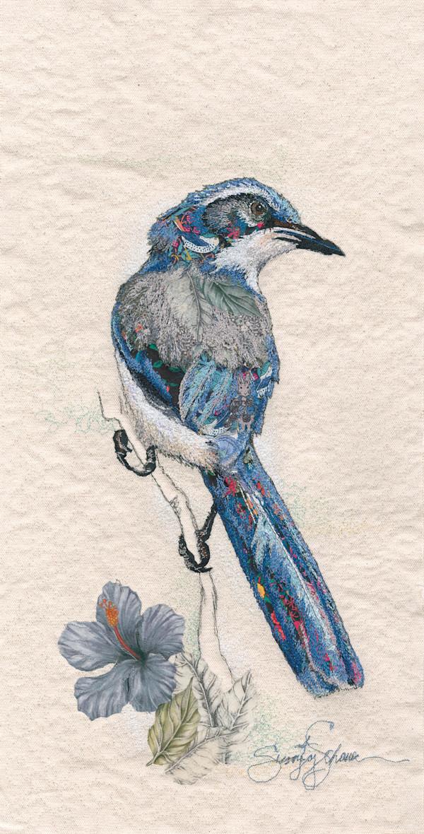 The Regal Scrub Jay by Susan Fay Schauer