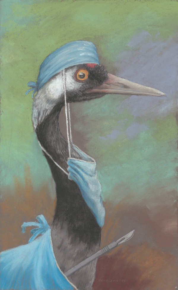 Crane Surgeon by Kevin O'Malley