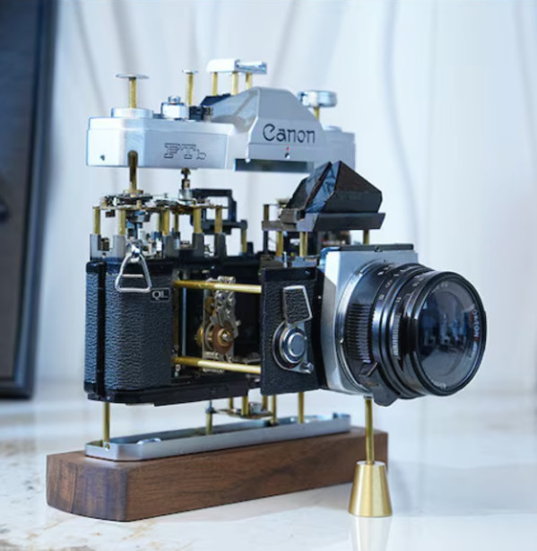 Nikon by Michael, Image 1.