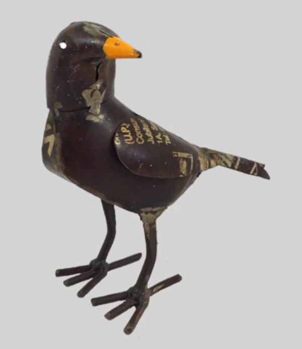 Blackbird