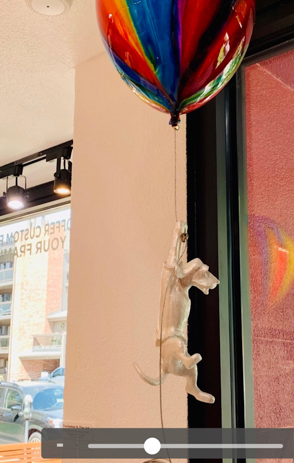 Balloon Dog by Ancizar Marin