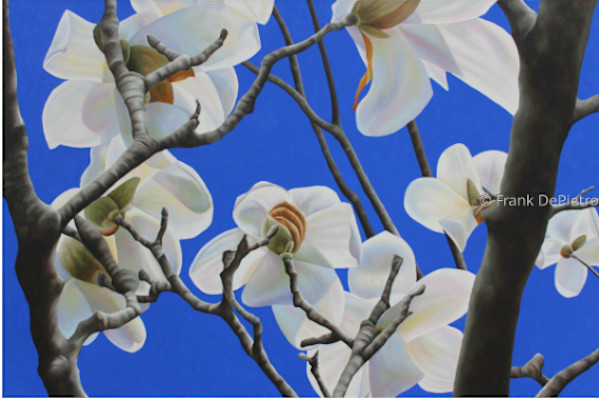 Magnolia Blossom #16 by Frank DePietro, Image 1.