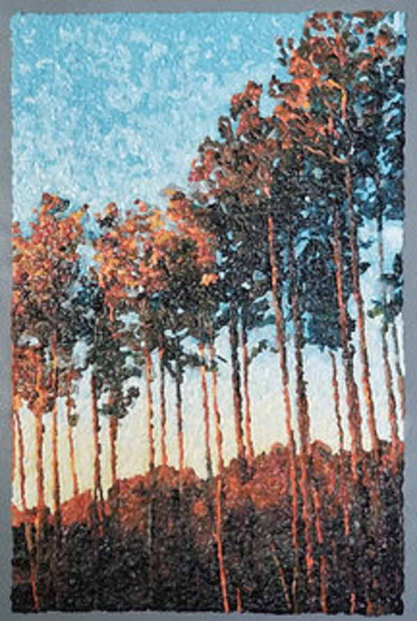 Morning Pines by Joseph Barbaccia