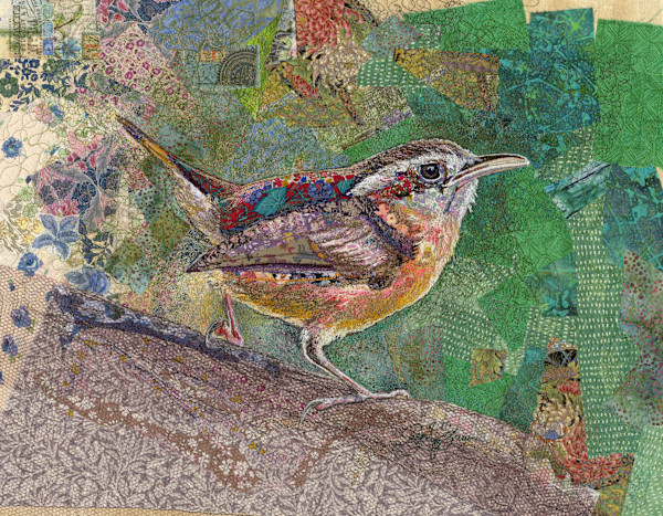 "Now You See Me, Now You Don't"  -  Carolina Wren  (Thryothorus ludovicianus) by Susan Fay Schauer